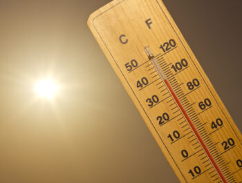Alerte canicule