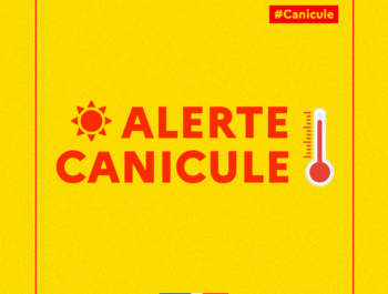 vigilance jaune « alerte canicule »