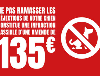 DÉJECTIONS CANINES